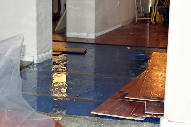 Professional Emergency Water Damage Restoration technician working in Crandall, TX